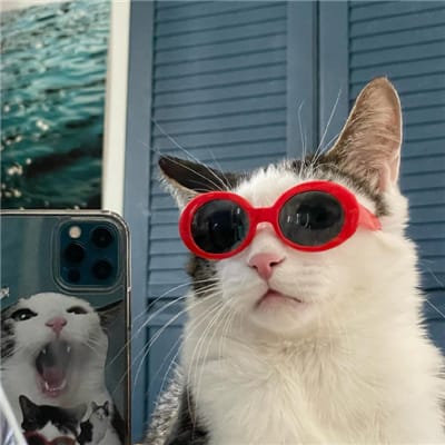 Robina Gokongwei avatar